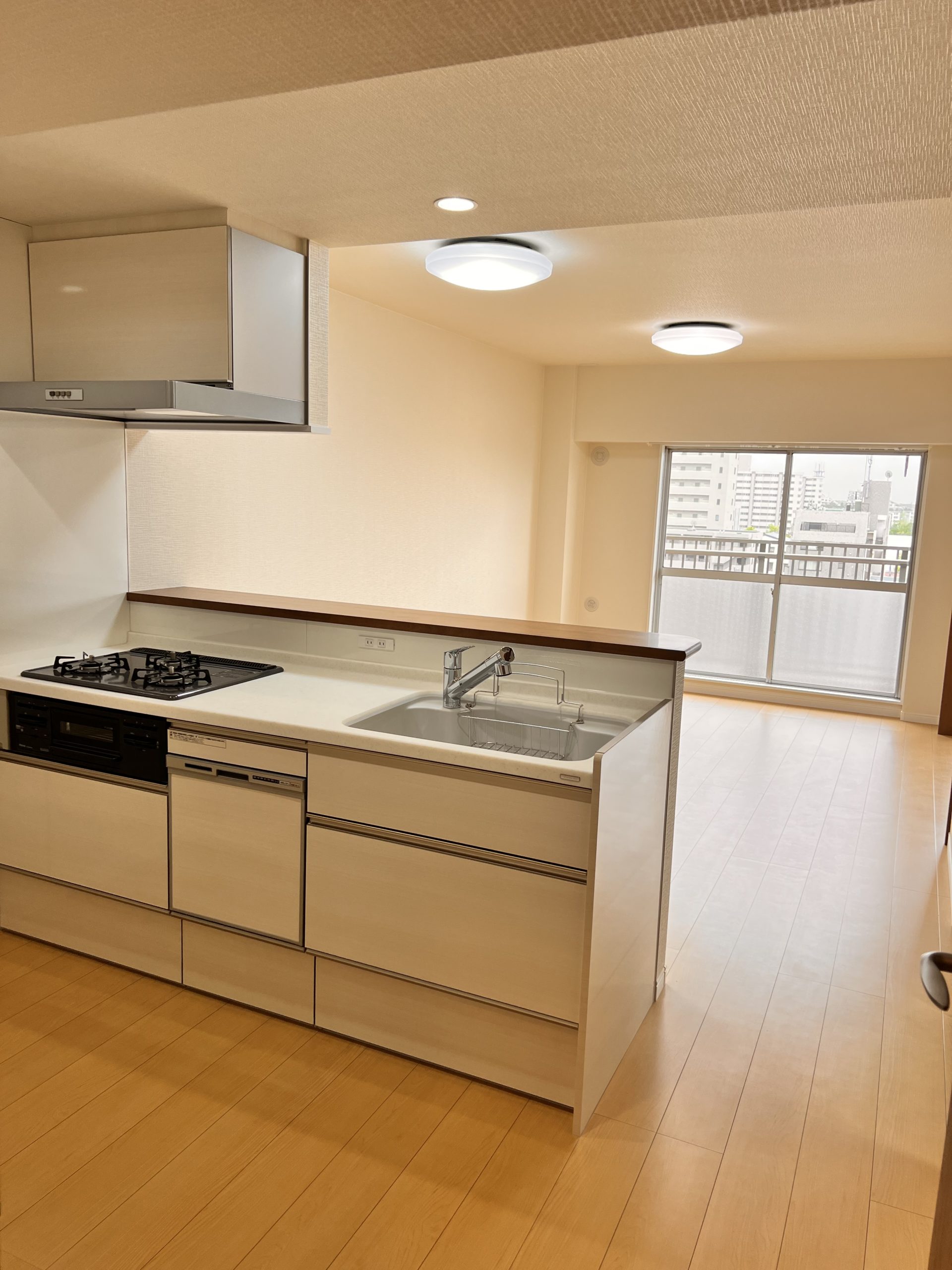 高州団地 リノベーション 写真